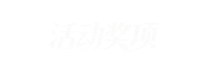 活动奖项